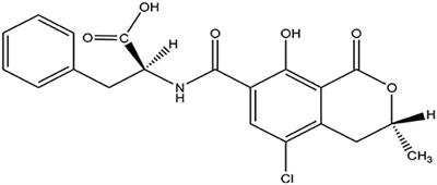 Recent Progress and Development of G-Quadruplex-Based Luminescent Assays for Ochratoxin A Detection